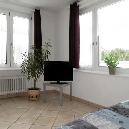 Atelier Probst- Hornwiesenstrasse 4 Konstancja Zewnętrze zdjęcie
