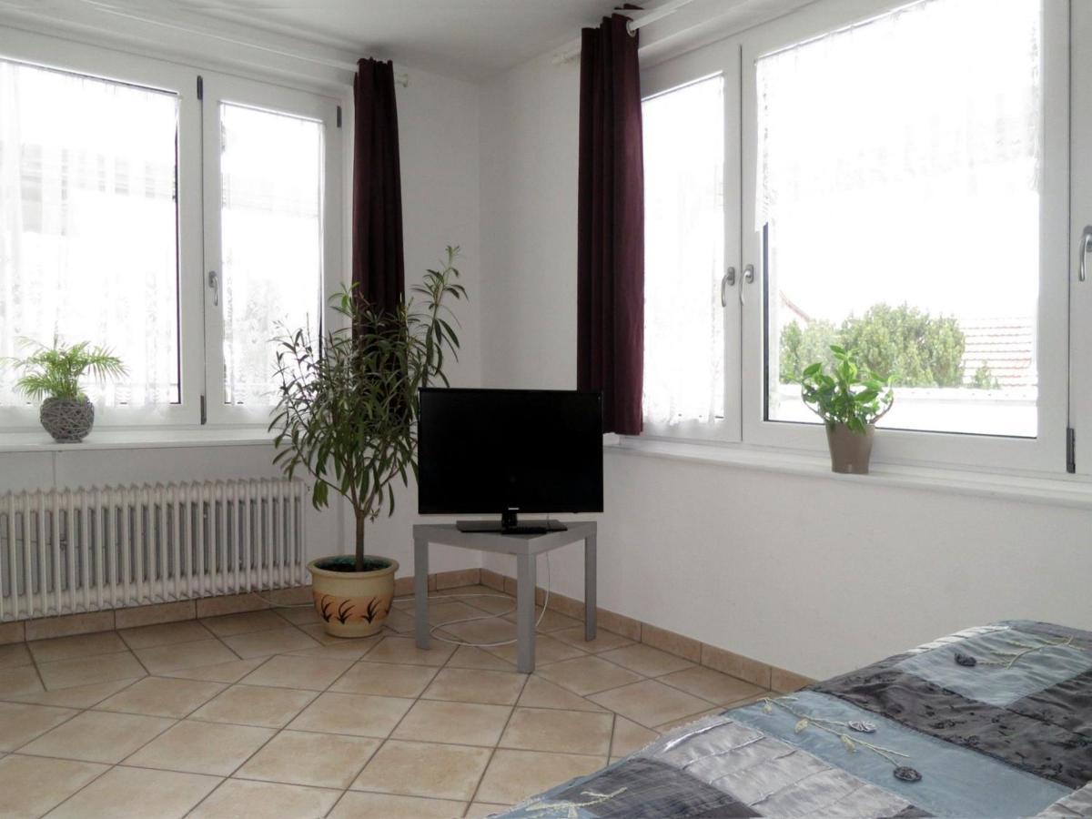 Apartment Atelier Probst- Hornwiesenstrasse 4 *